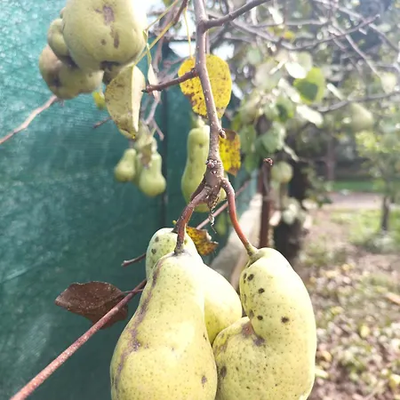 Narniandum Est Locazione Turistica Casa de Férias