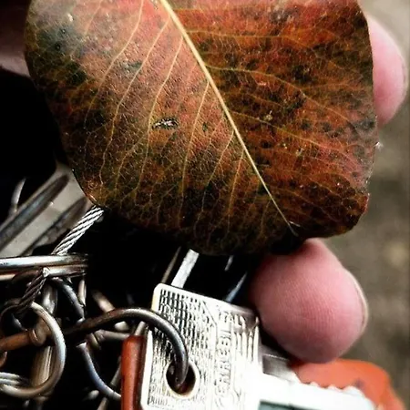 Narniandum Est Locazione Turistica