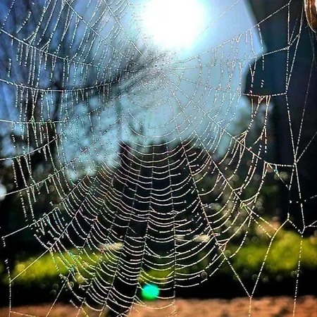 Nyaraló Narniandum Est Locazione Turistica Narni