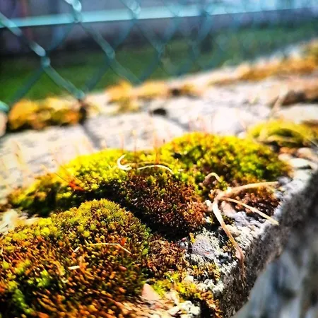 Ferienhaus Narniandum Est Locazione Turistica