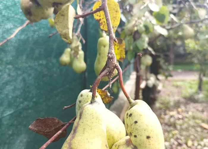 Narniandum Est Locazione Turistica Ferienhaus