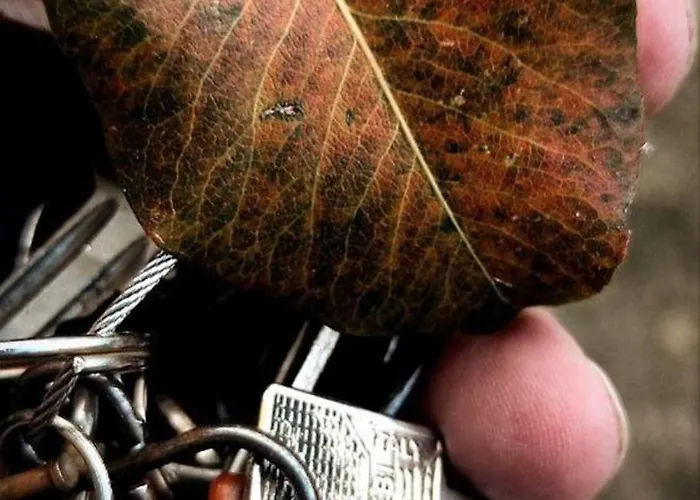 Narniandum Est Locazione Turistica