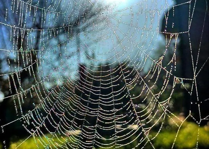 Ferienhaus Narniandum Est Locazione Turistica Narni