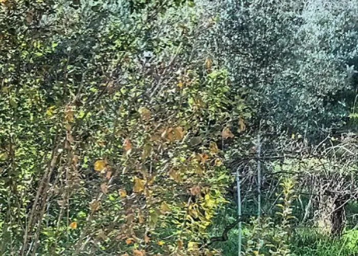 Narniandum Est Locazione Turistica *