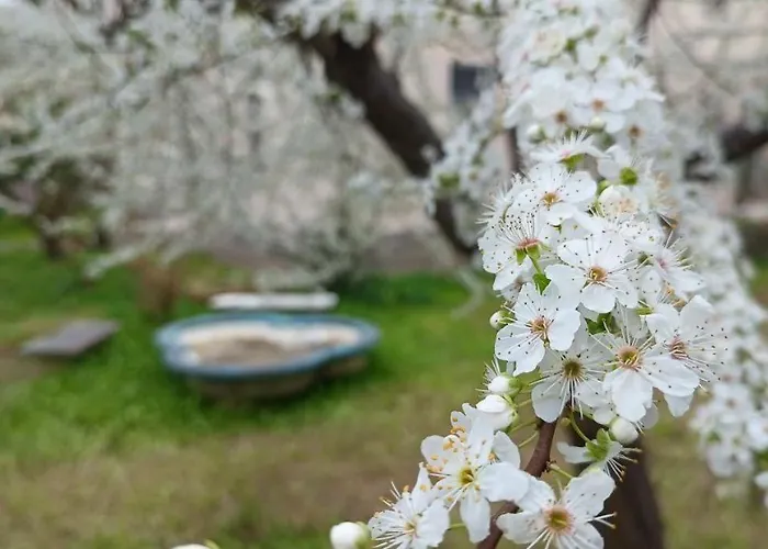 Narniandum Est Locazione Turistica *