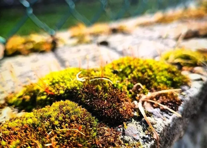 Ferienhaus Narniandum Est Locazione Turistica