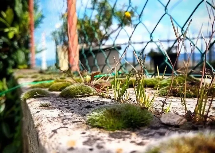 Narniandum Est Locazione Turistica Ferienhaus Narni